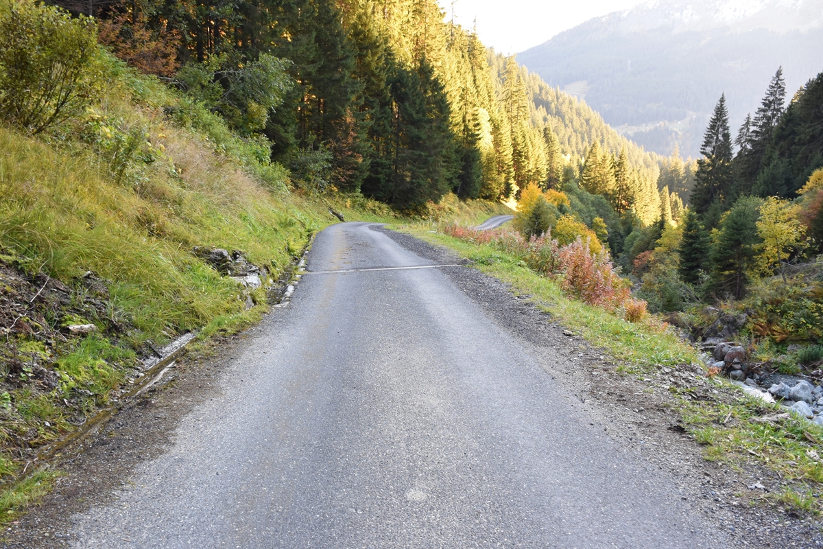 Verlauf der asphaltierten Bergstrasse. Das Bild zeigt das starke Gefälle auf.