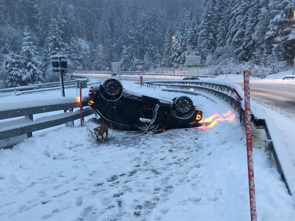 Auto liegt in einer friedlichen Winterlandschaft auf der Zufahrt zur Autostrasse auf dem Dach. Der unverletzte Hund steht vor dem total beschädigten Fahrzeug