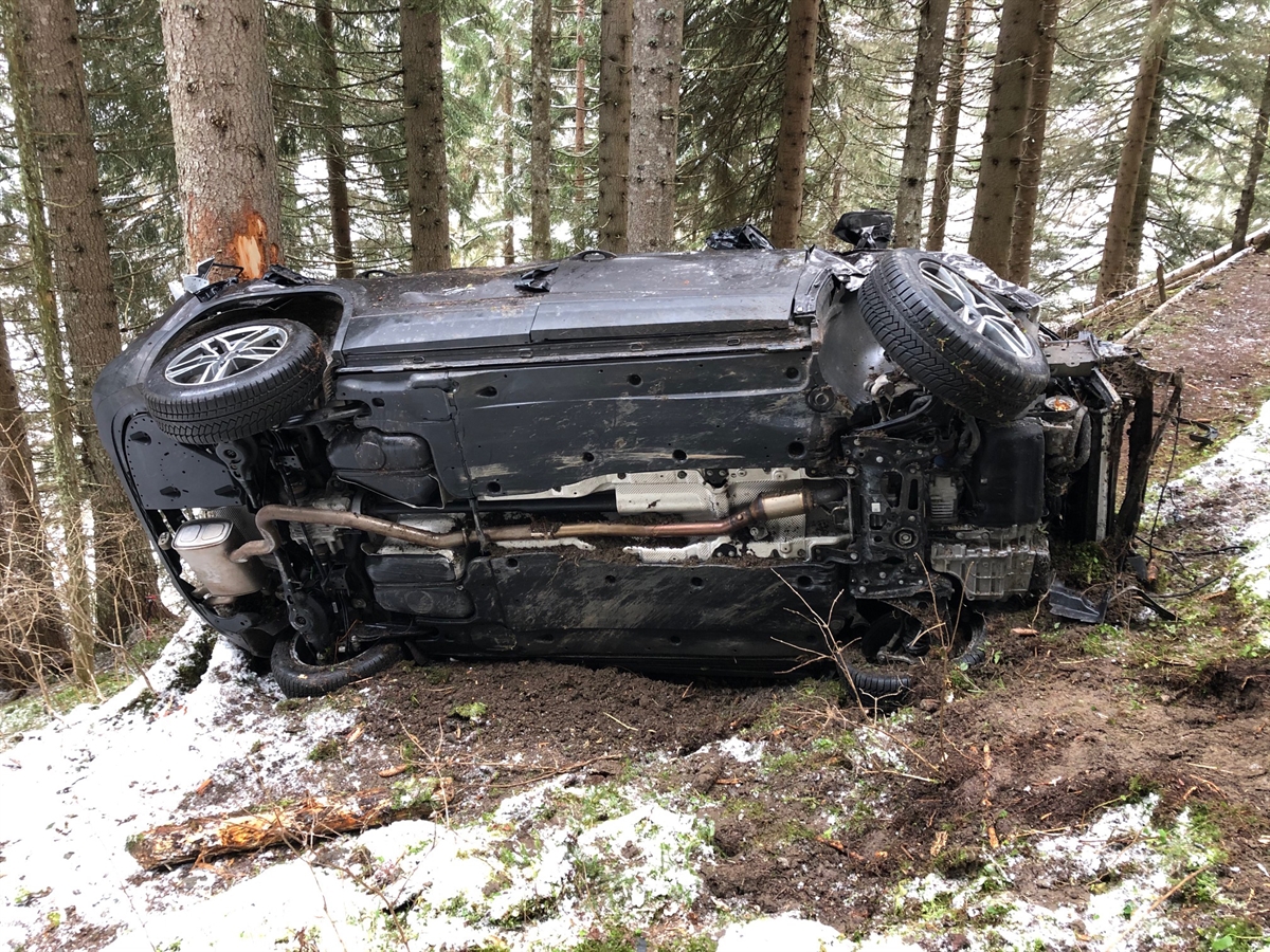 Am Baum gestopptes Auto
