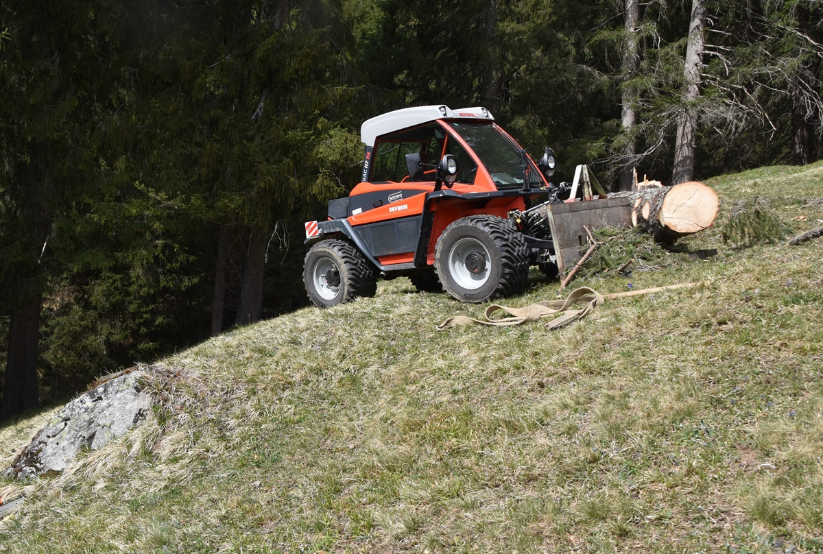 Landwirtschaftliches Gefährt neben Baumstamm auf Wiese