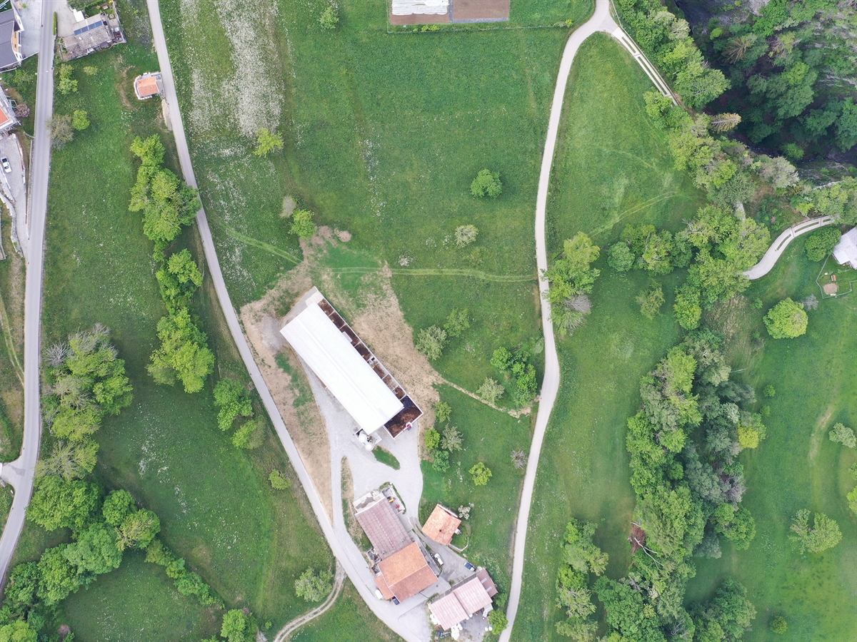 Vogelperspektive des Landwirtschaftsbetriebes mit der durch die Landschaft schlängelnden Nebenstrasse. In der grünen Wiese gut sichtbar die Fahrspuren des Autos.