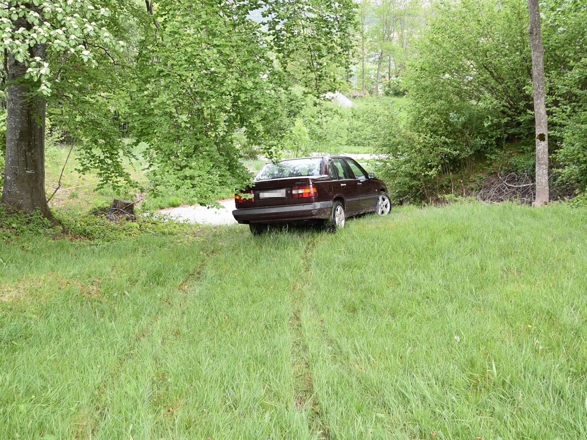 Das Auto auf der Wiese stehend. Im Hintergrund die talseitige Fahrbahn des Weges. Auf der grünen Wiese sind die Radabdruckspuren erkennbar.