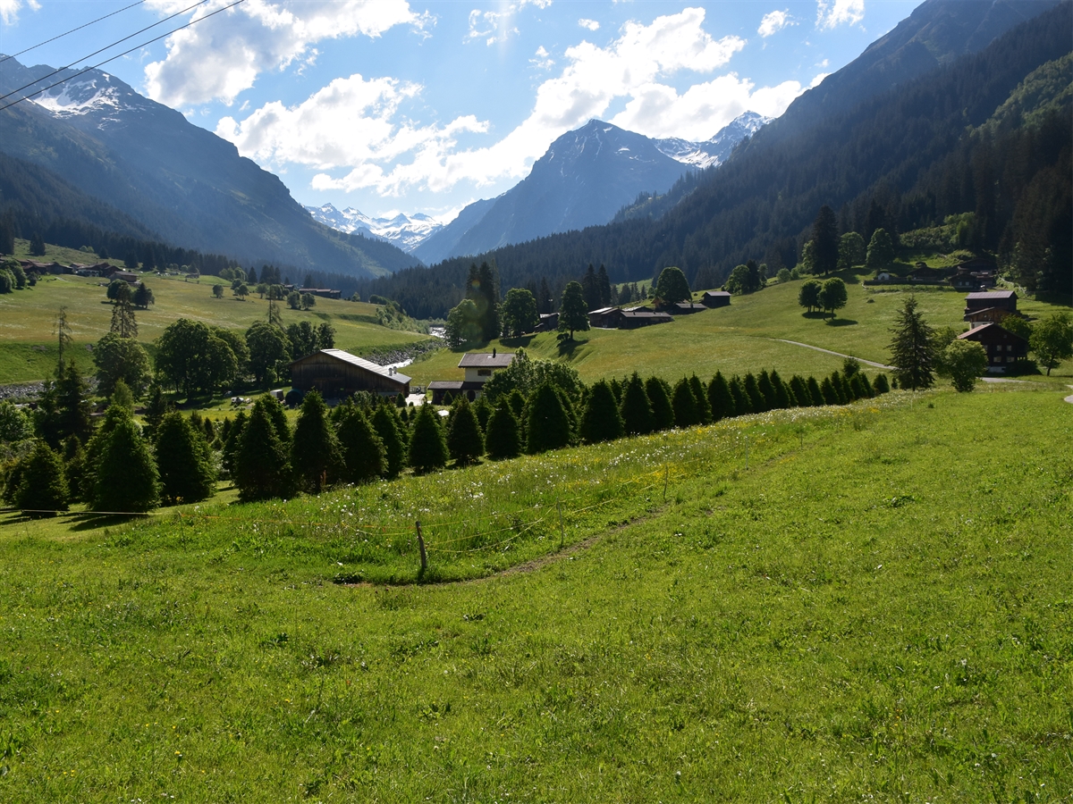 Die Baumschule inmitten einer herrlichen Bergkulisse