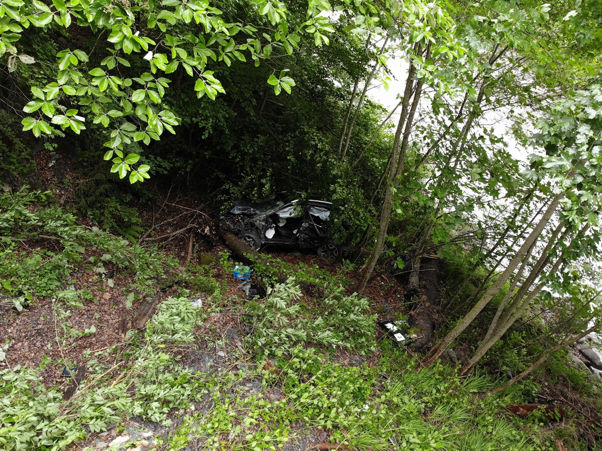 total beschädigtes Auto im Gebüsch