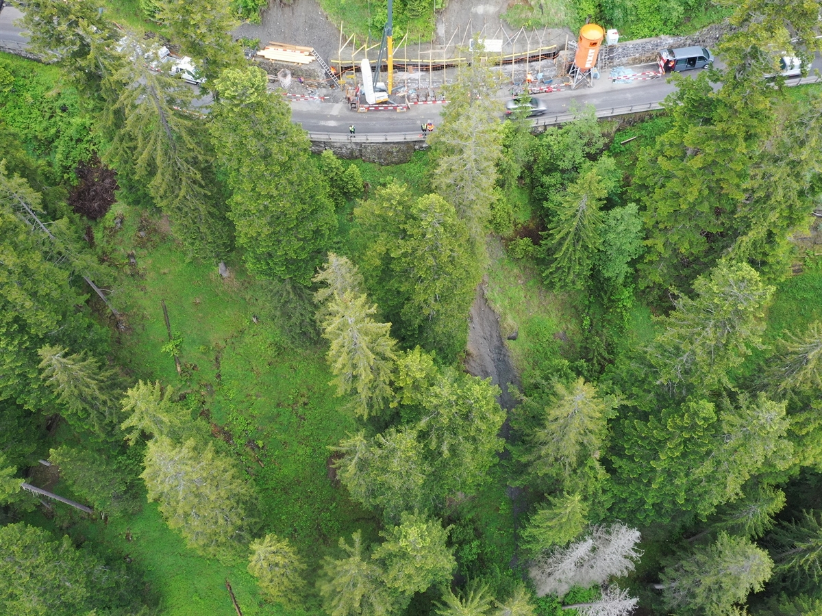 Eine Luftaufnahme. Oben die Strasse, unterhalb im Bild Bäume und die abfallende Böschung.