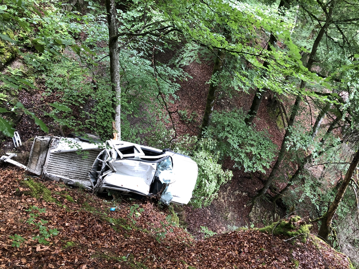 Der total beschädigte Lieferwagen wurde von einem Baum aufgehalten.