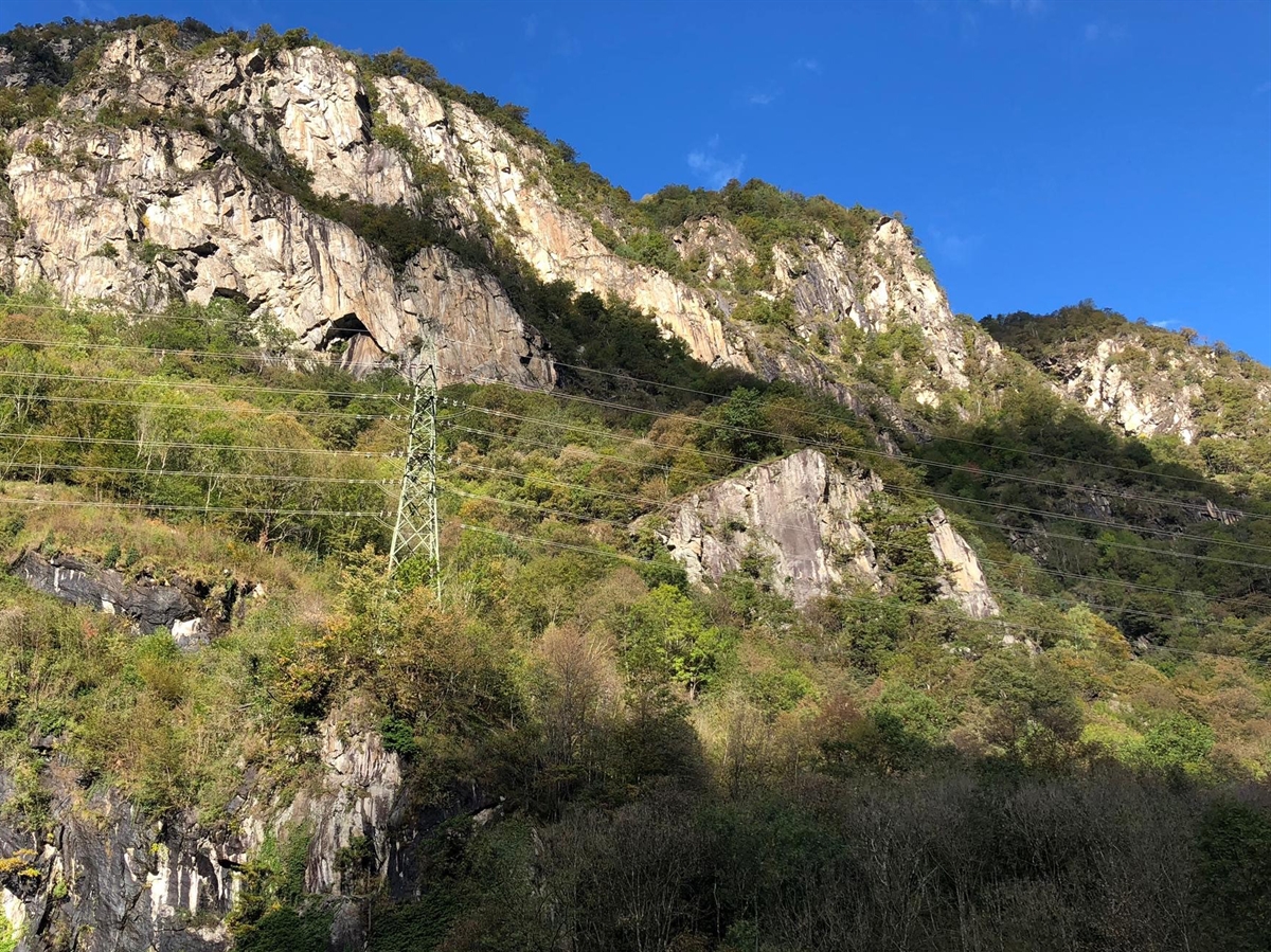 Kletterfelswände und Wald