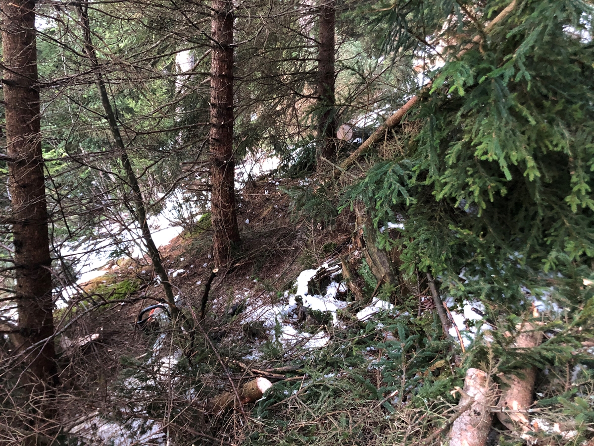 Unfallstelle mit teils schneebedecktem Waldboden. Zwischen Baumstämmen liegt eine Motorsäge auf dem Waldboden