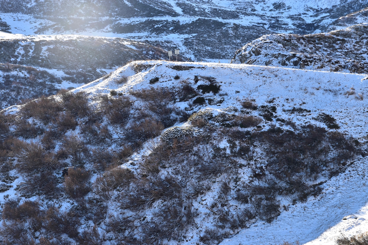 Übersicht der steil abfallenden Böschung. Das Auto ist unten links hinter einem Gebüsch ersichtlich. Der schneebedeckte Hang ist ersichtlich.
