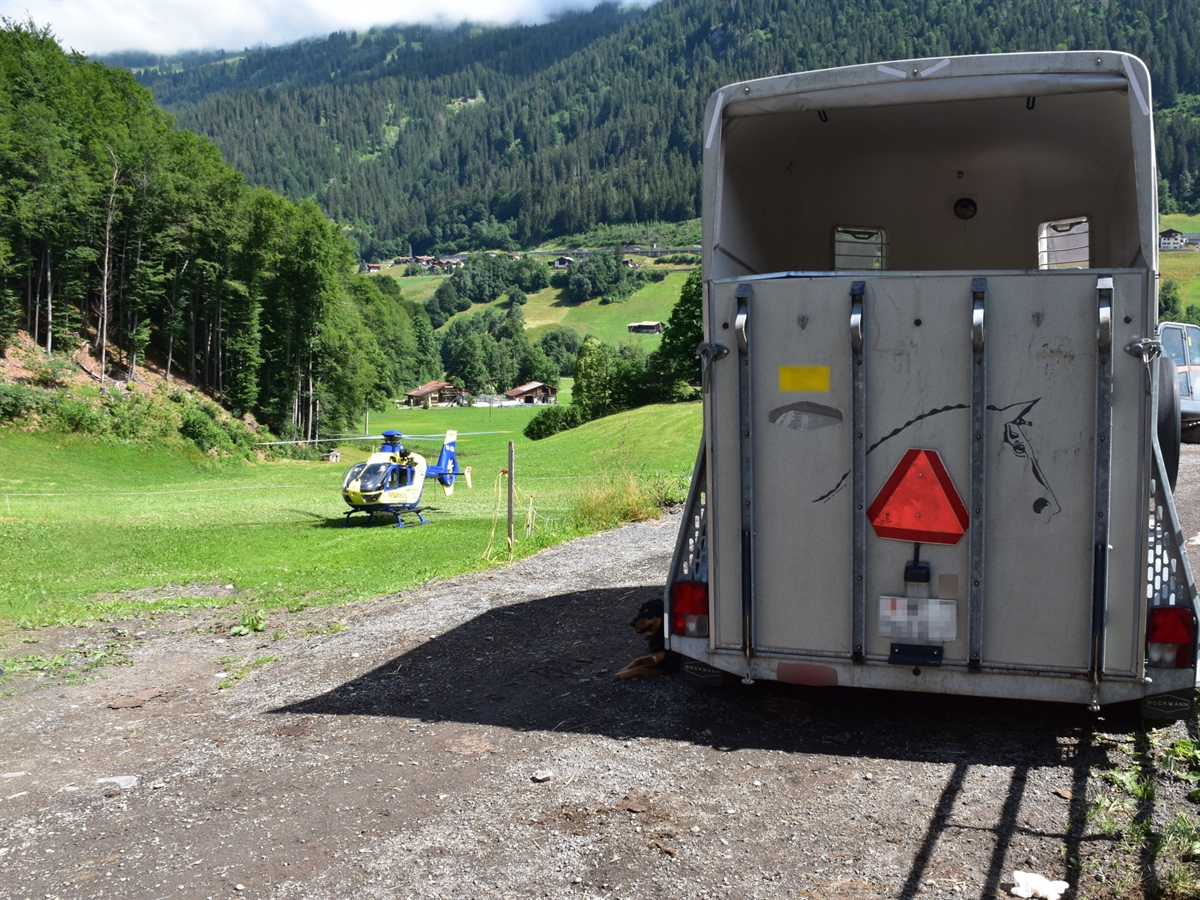 Der Tiertransportanhänger auf dem Hof. Links neben dem Anhänger startet der Helikopter der AP3-Luftrettung auf einer Wiese.