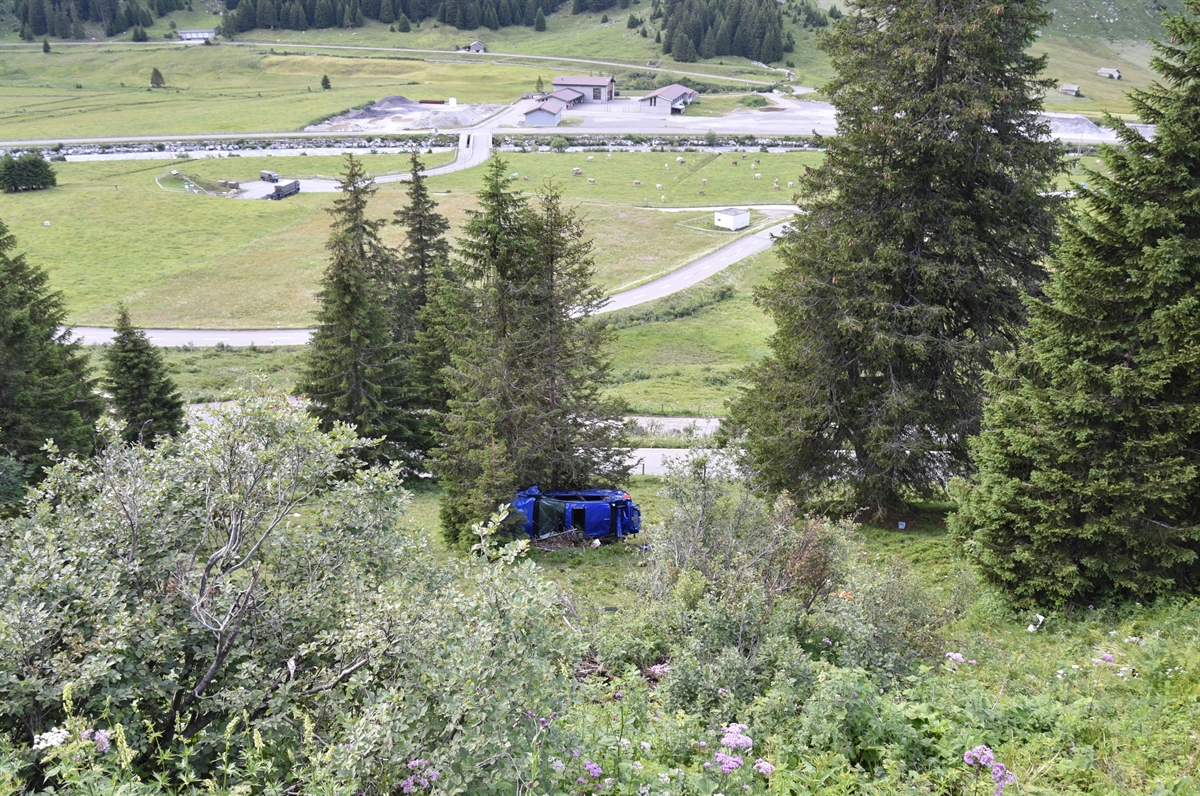 Total beschädigtes Auto von Bäumen im Abhang gestoppt