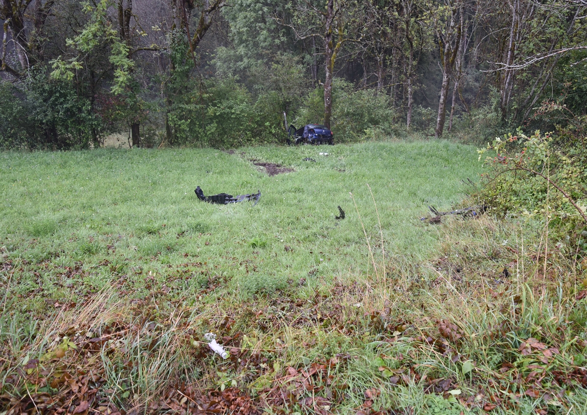 Im Hintergrund die Endlage des Fahrzeuges in den Bäumen. Im Vordergrund im Wiesland sind Fahrzeugteile zu erkennen.
