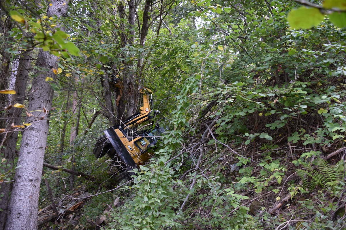 Bagger im steilen Abhang, von Baum gestoppt
