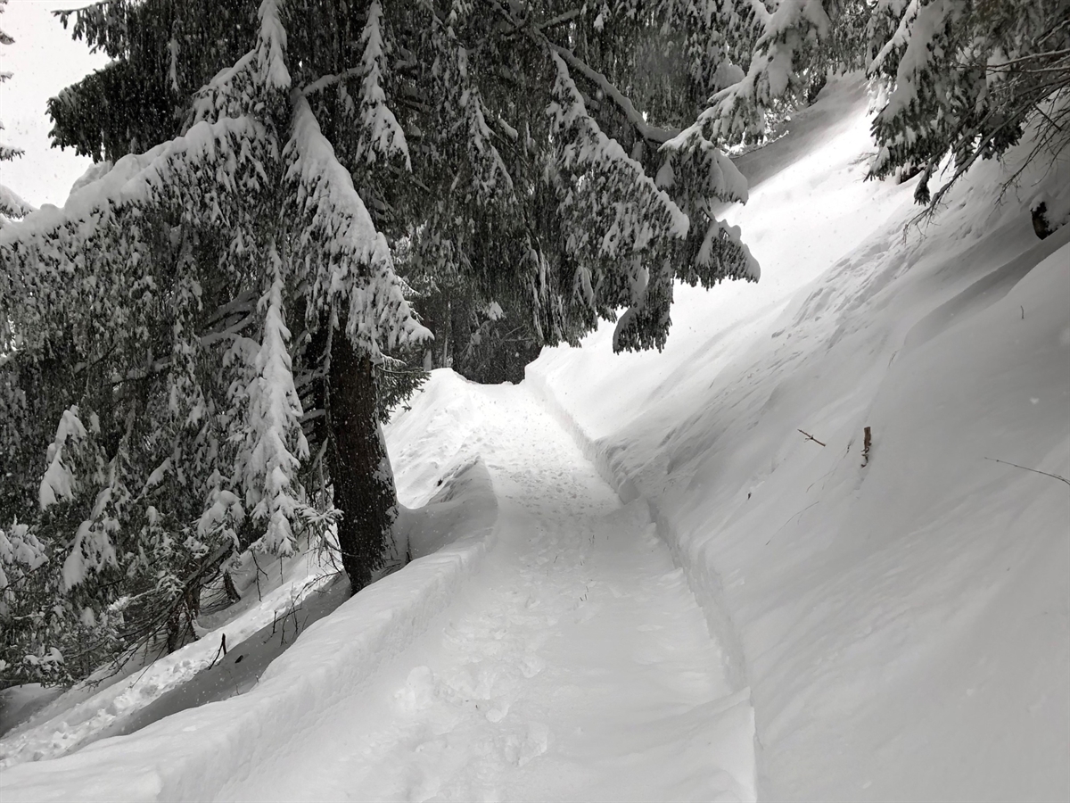 Waldweg in steilem Gelände, inmitten der Bündner Winterlandschaft