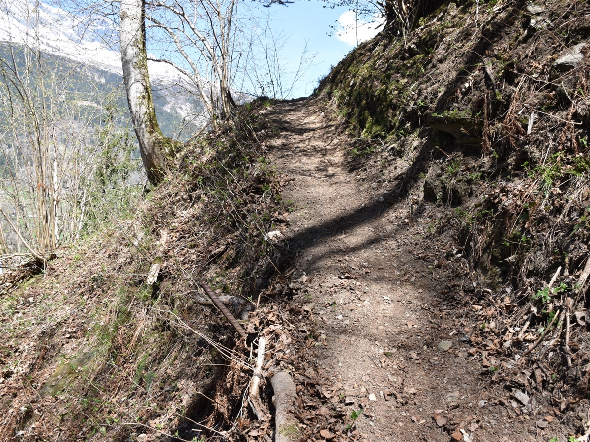 Der schmale und steile vom Laub befreite Bergweg im Wald. Am Horizont blauer Himmel und verschneite Berge.