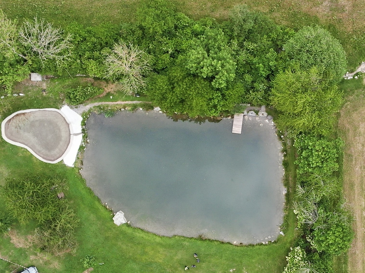 Der von Wiese und Bäumen/Gebüsch umgebene Weiher von oben.