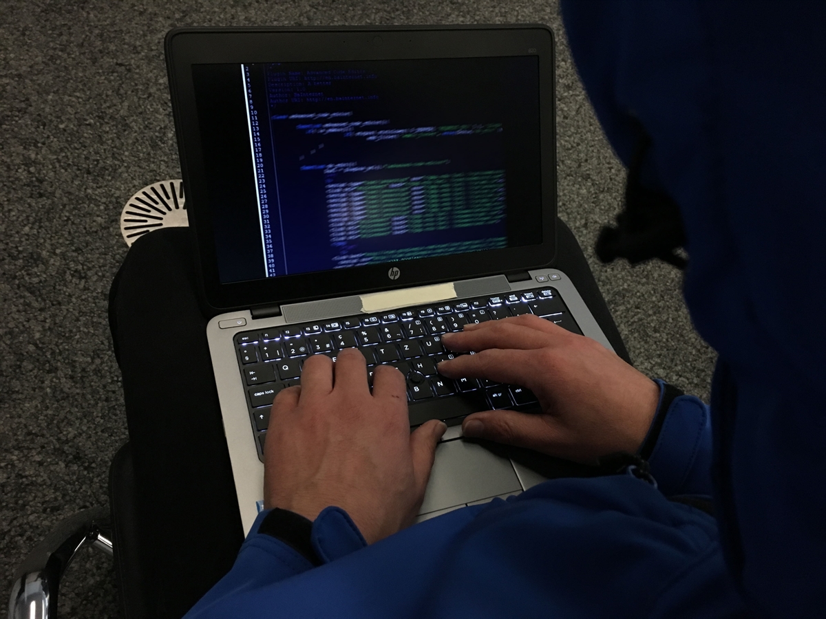 Eine Person von hinten. Ihre Finger sind auf der Tastatur eines Laptops. Auf dem Bildschirm verschwommene Schrift. 