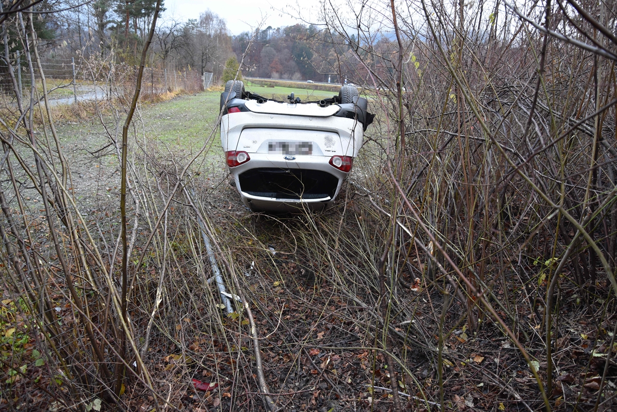 Auto auf dem Dach liegend im Gebüsch