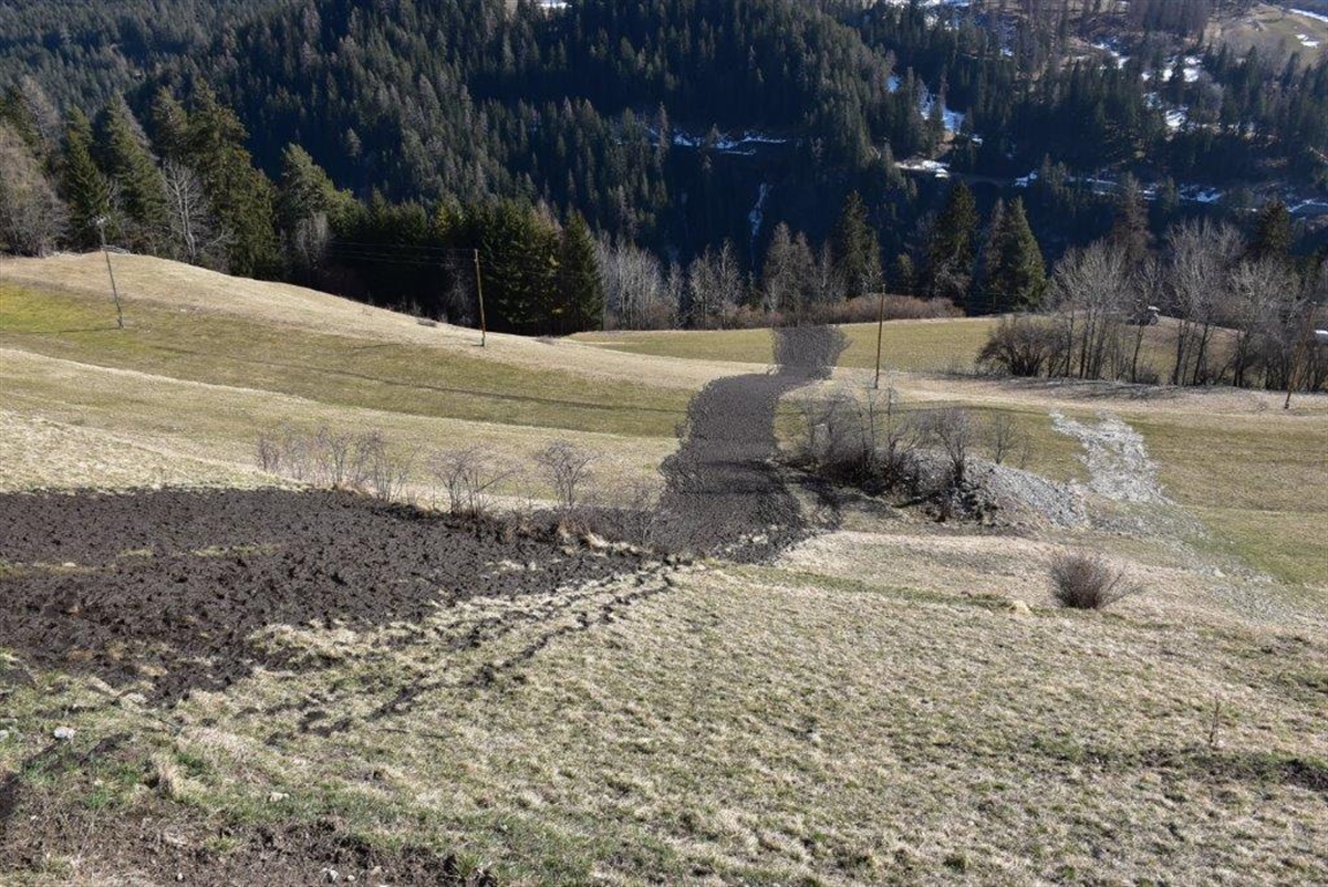 Jauche fliesst über Wiese