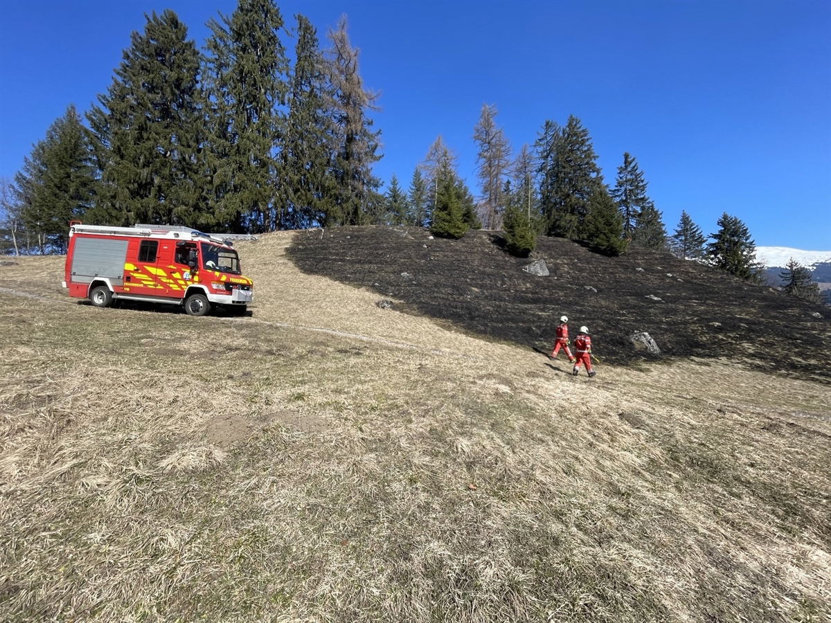 Übersichtsaufnahme Brandfläche zirka 25 Aren