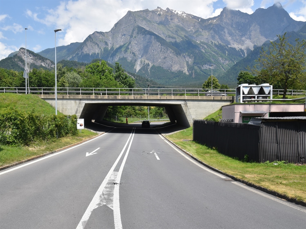 Überblick auf die Kollisionsstelle. Im Hintergrund Berge und leicht bewölkter Himmel.