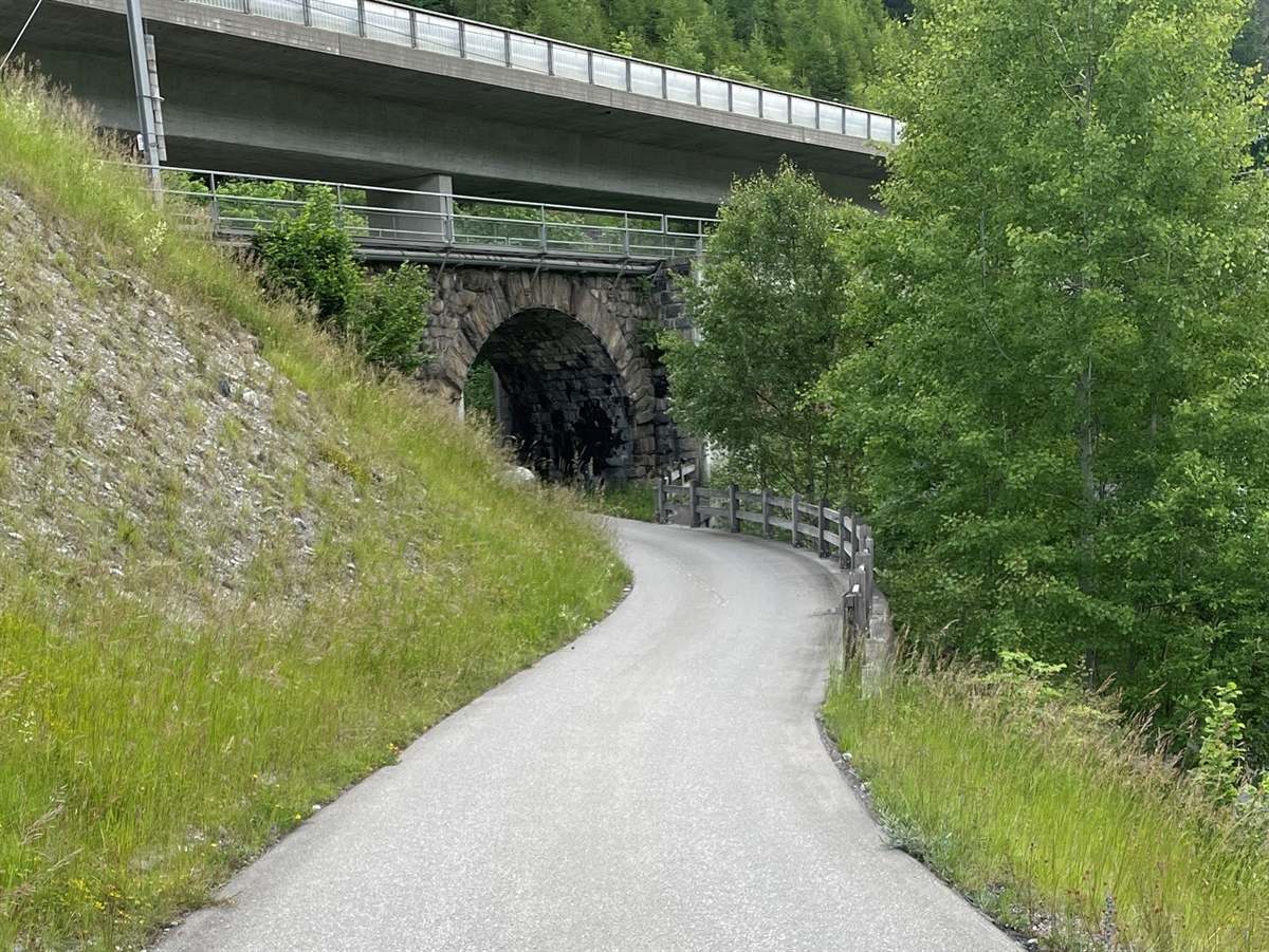 Ein geschwungener asphaltierter Weg, der nach links in eine Unterführung wegführt.
