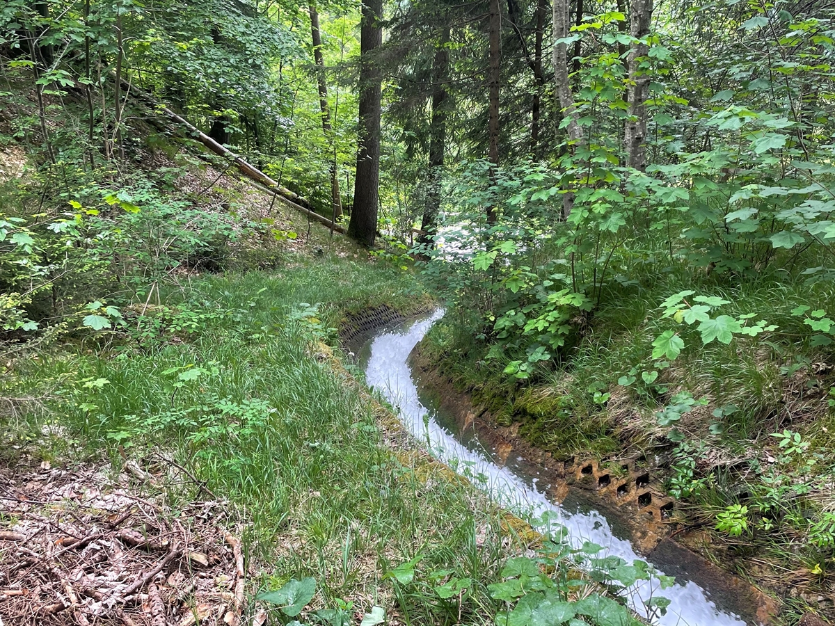 Der in Wildbachschalen fliessende und von Wald umsäumte Trochabach.