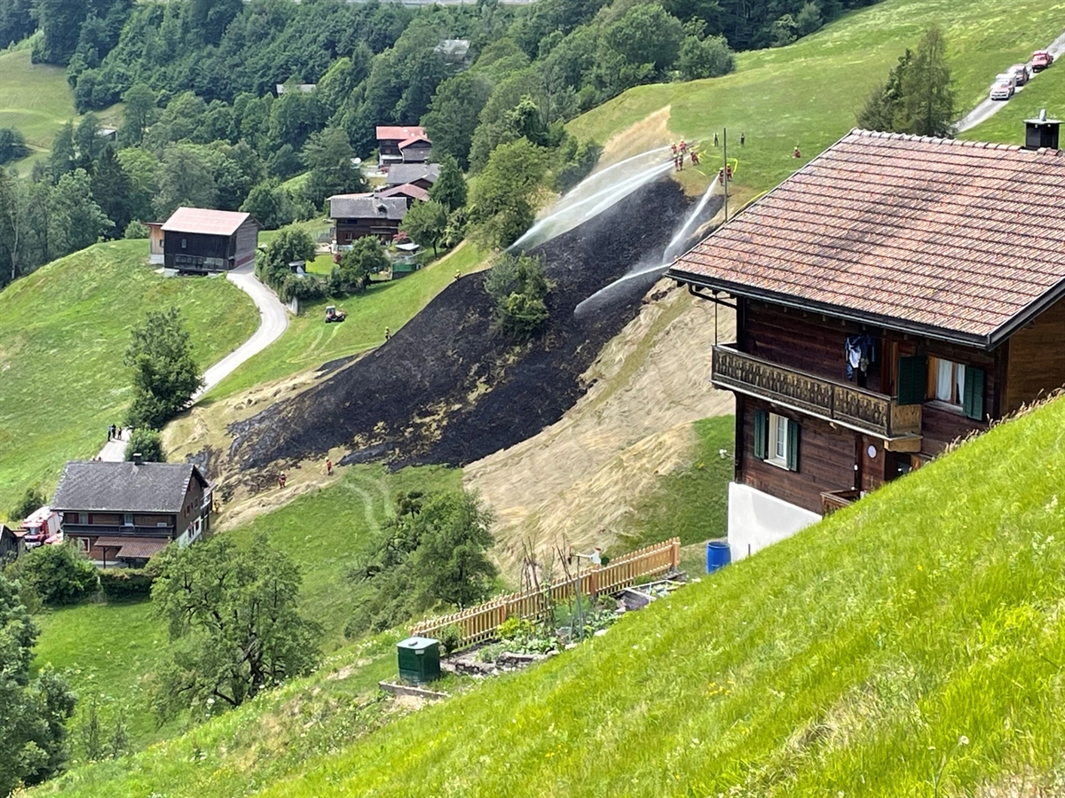 Die schwarze Brandfläche in der Grösse von gut zwei Fussballfeldern in der Landschaft von Pusserein.