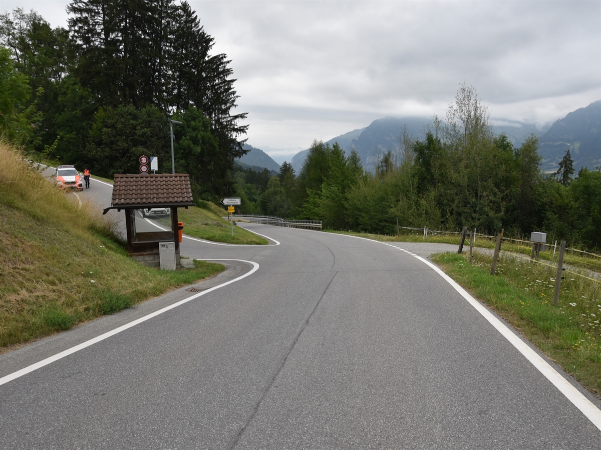Die Strasse, links die Verzweigung nach Valleina und anschliessend links und rechts der Strasse Bäume. In Bildmitte die Leitplanke. 