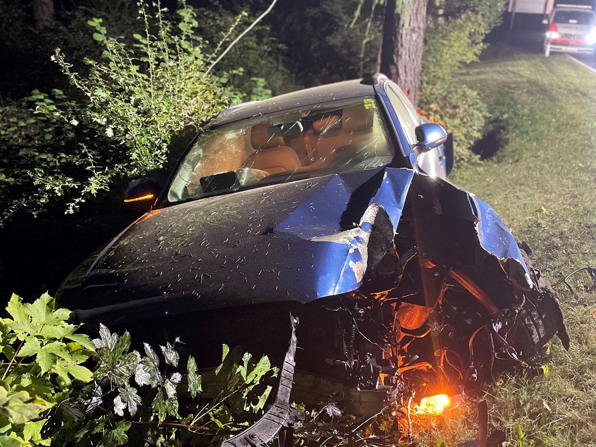In einem Gebüsch ein total beschädigtes Auto von vorne. Im Hintergrund ein Polizeiauto.