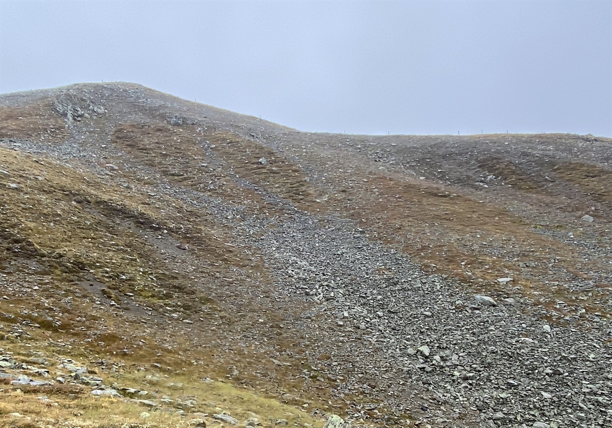 Grat mit Wiese und Steinen