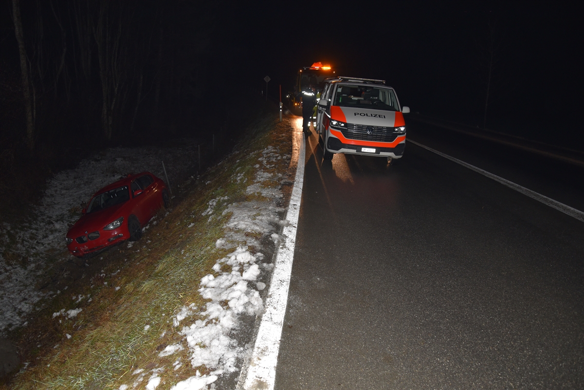 Patrouillenfahrzeug der Polizei auf der Strasse, Unfallauto unterhalb am Wildschutzzaun