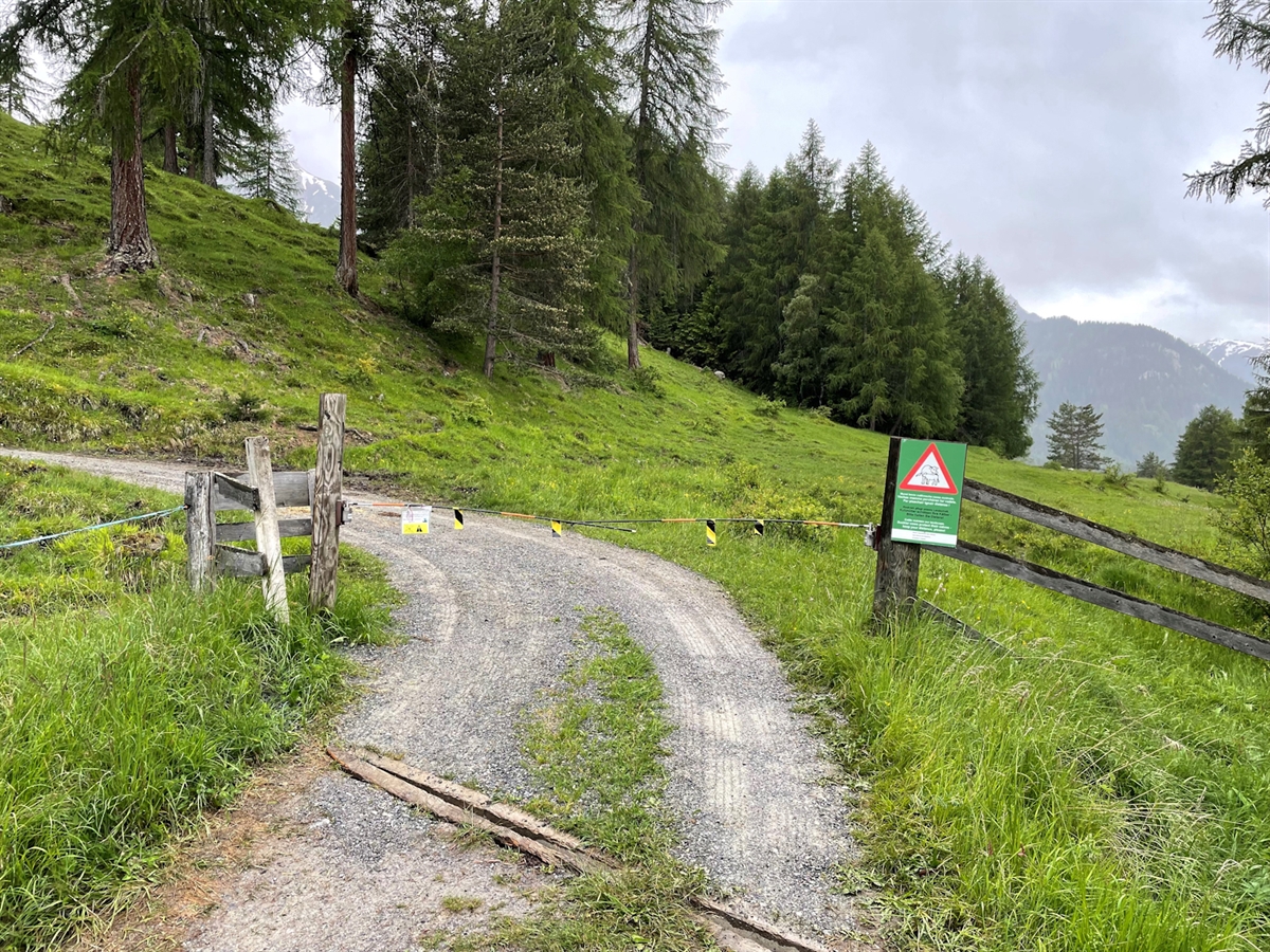 Der Wanderweg führt mitten durch grossräumig eingezäuntes hochalpines Weideland. Auf dem Bild ist der Eingang auf die Weide mit der gutverständlichen Signalisation der Weide mit Mutterkühen.