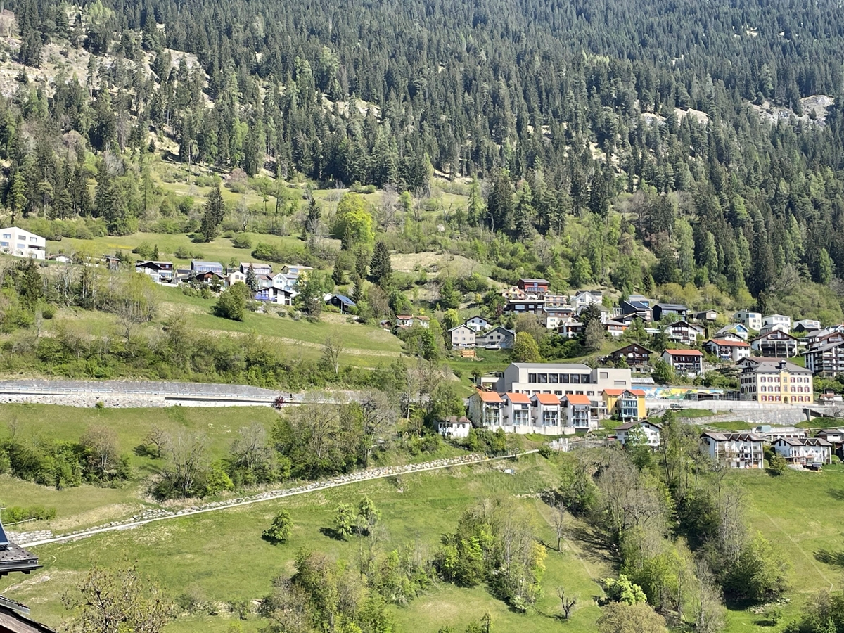 Blick auf Häuser von Trin mit Wald