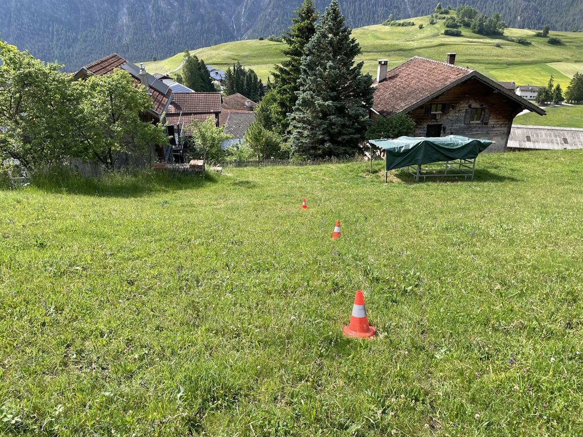 Die Wiese auf welcher der Verletzte gefunden wurde. Unterhalb der Wiese Häuser. Rekonstruktion durch Molankegel.