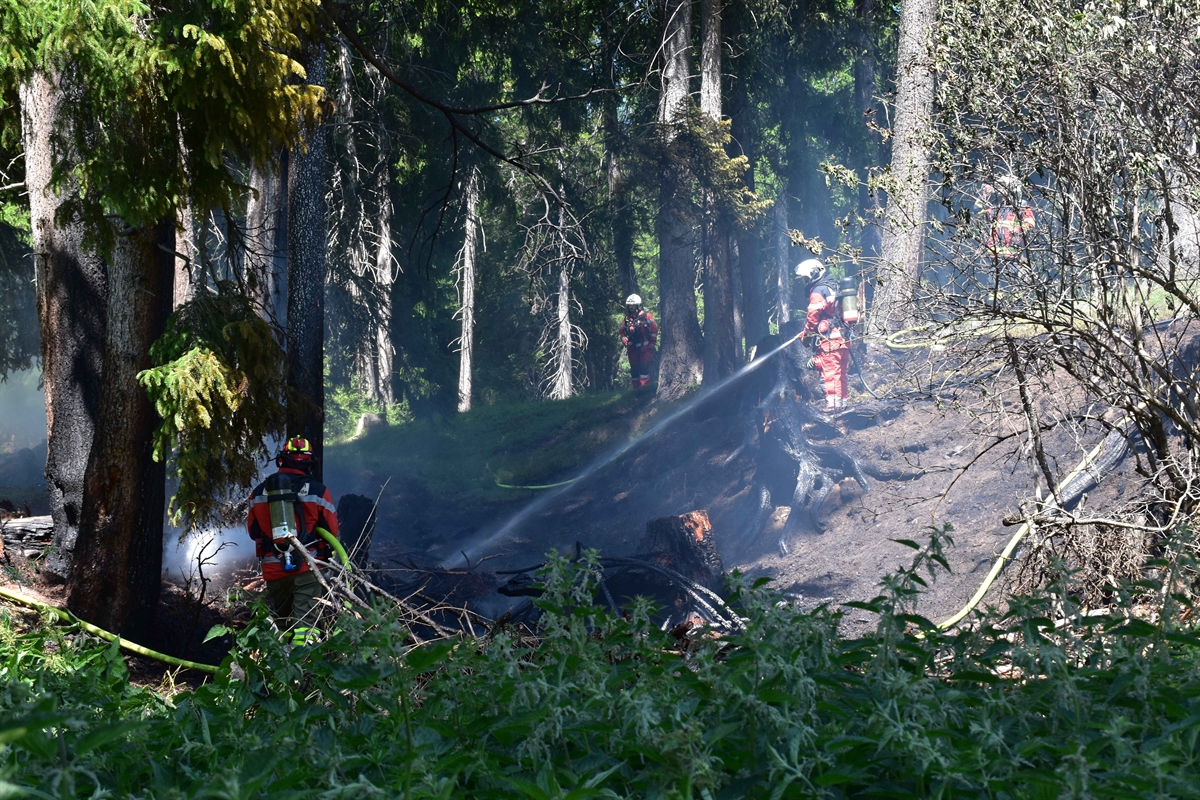 Angehörige der Feuerwehren bei der Brandbekämpfung im Wald.
