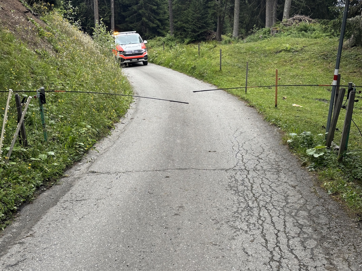 Die geteerte Strasse mit dem Viehgatter. Ein Polizeiauto auf der Fahrbahn. 