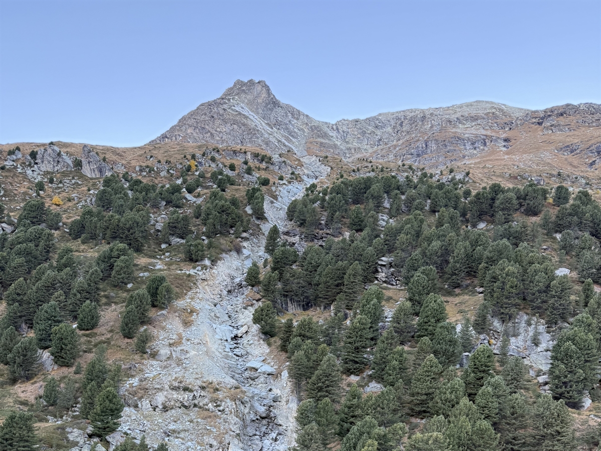 Das leicht bewaldete Gebiet Senda Alp Ota. Der Wald wird durch eine Schneise getrennt.