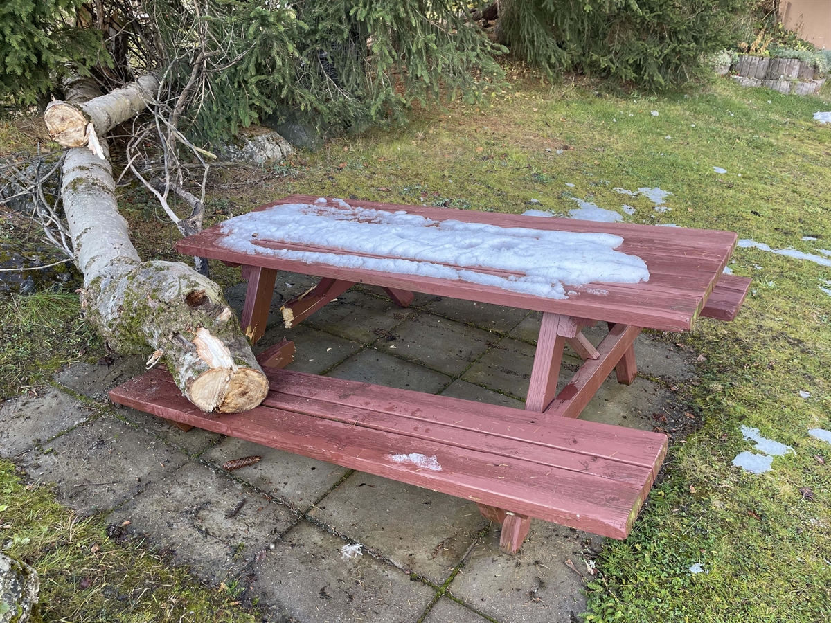 Picknicktisch von umgestürztem Baum zerstört