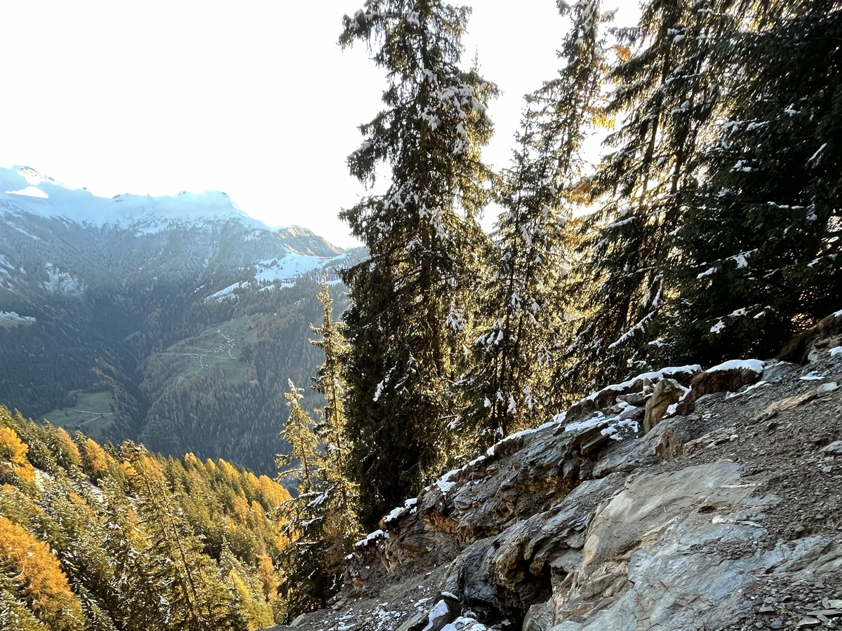 Das abfallende felsige Gelände, umgeben von Wald. Im Hintergrund Gebirgslandschaft.