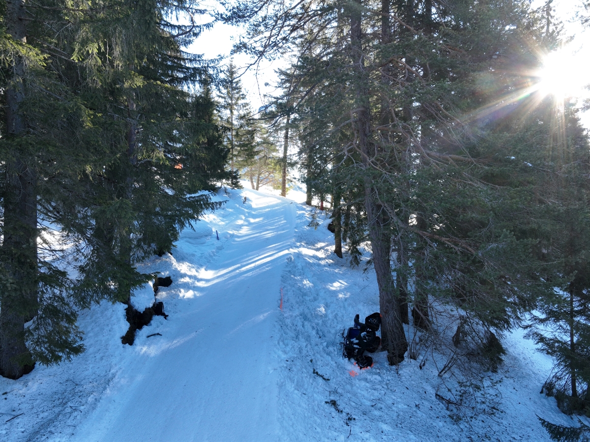Die Sonne scheint durch den verschneiten Wald. Zwischen den Bäumen schlängelt sich die Schlittelbahn ins Tal. Das Raupenfahrzeug liegt auf der rechten Seite an einem Baumstamm neben der Piste.