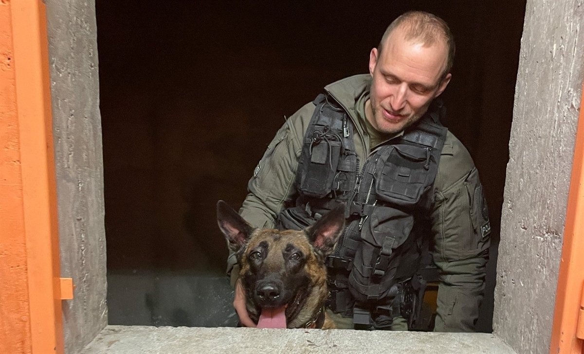 Hund und Hundeführer gucken aus Luke