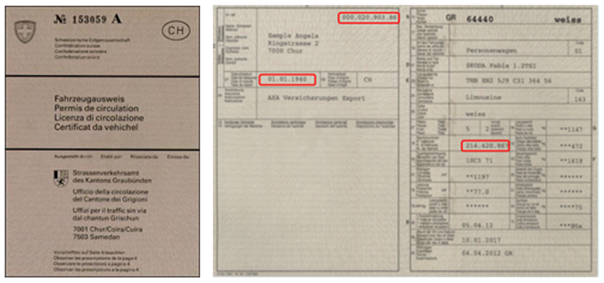 Document dal vehichel
