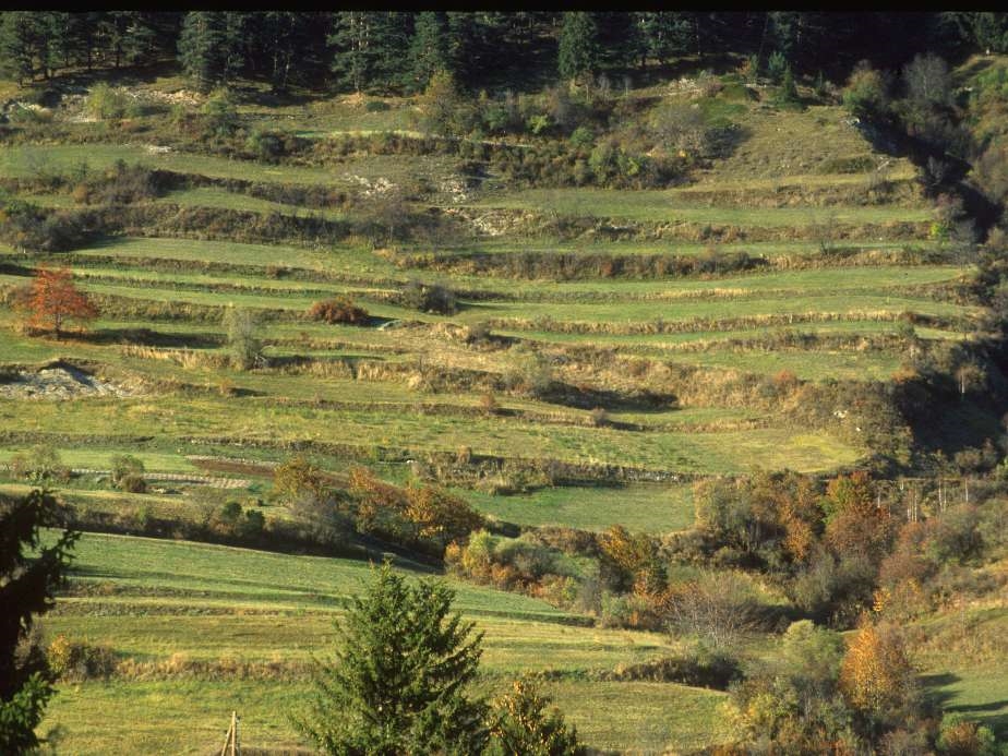 Landschaftsqualität