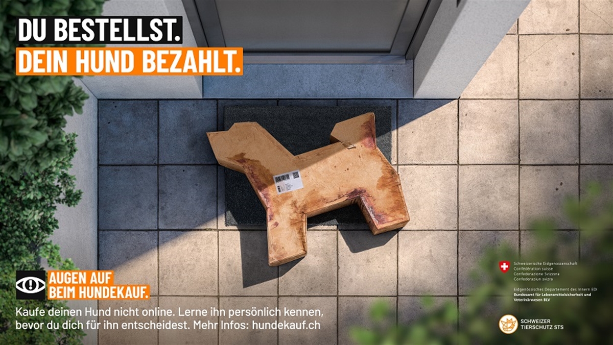 Hundekauf.ch