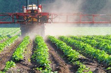 Pestizide in frischem Obst und Gemüse