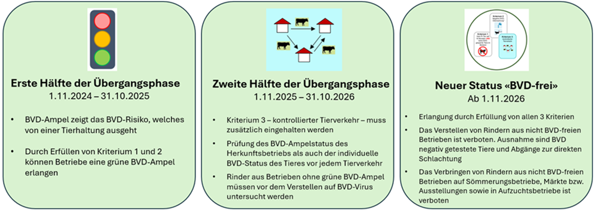 Übergangsphase