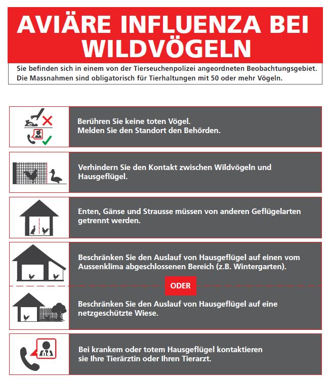 neues Plakat BLV