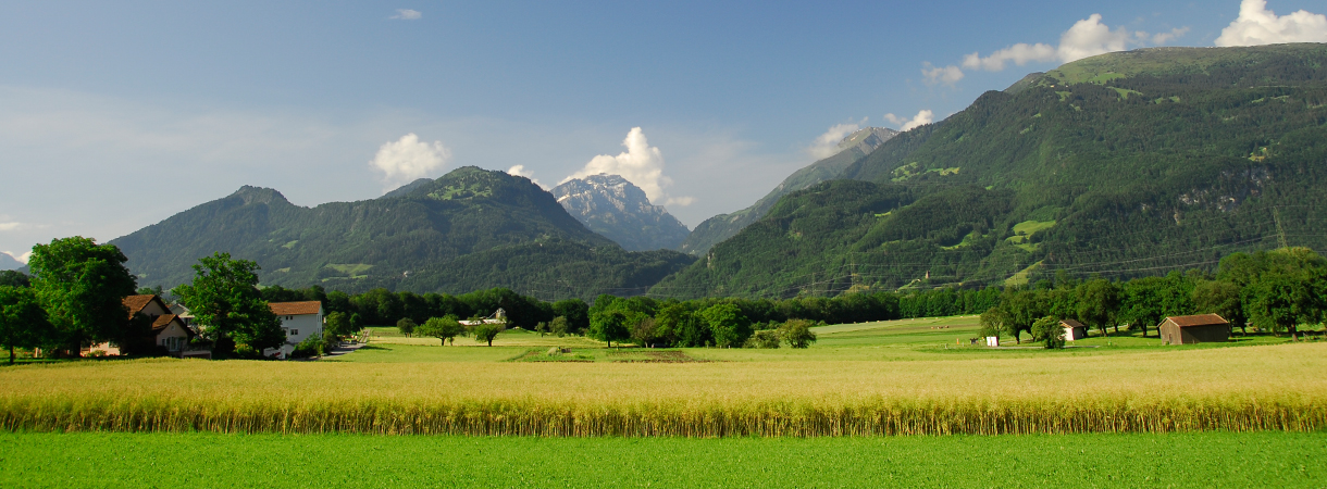 Servetschs