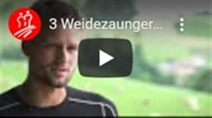 Weidezauntechnik